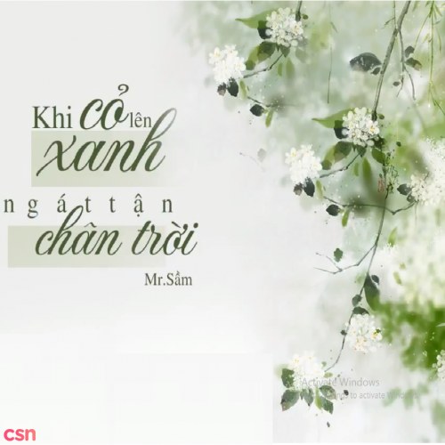 Mr. Sầm (岑先生)