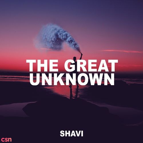 Shavi