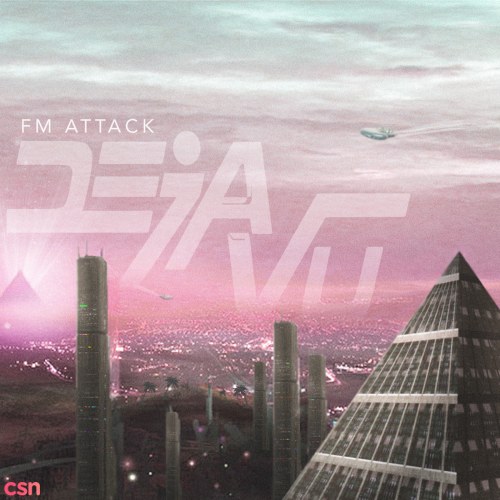 FM Attack
