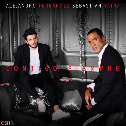 Alejandro Fernandez