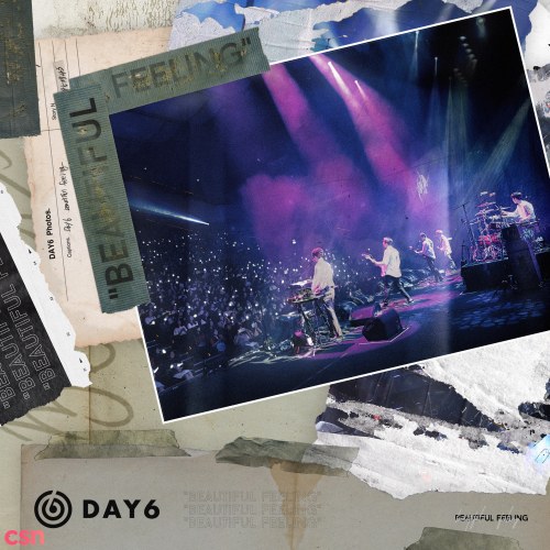 Day6