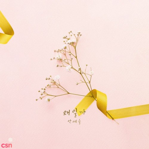 An Ye Seul