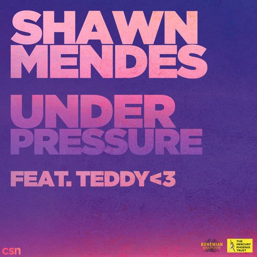 Shawn Mendes
