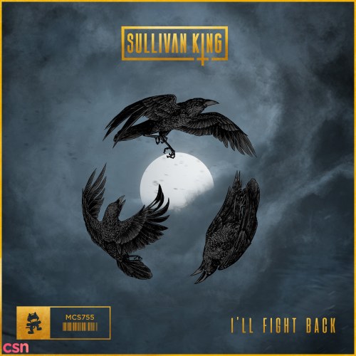 Sullivan King