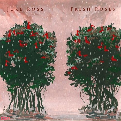 Juke Ross