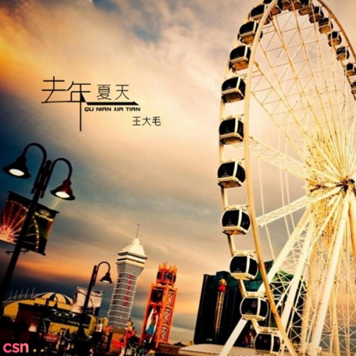 Vương Đại Mao