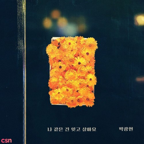 Park Gwang Hyun