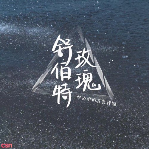 Chíp Chíp Của Bạn