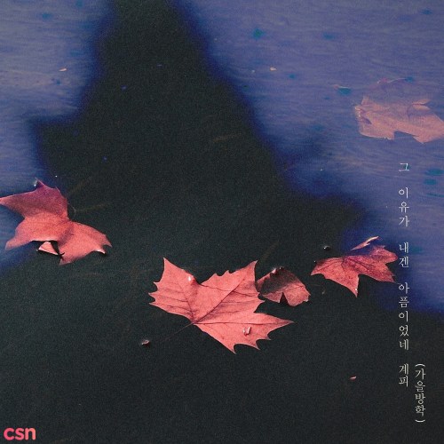 Gyepy
